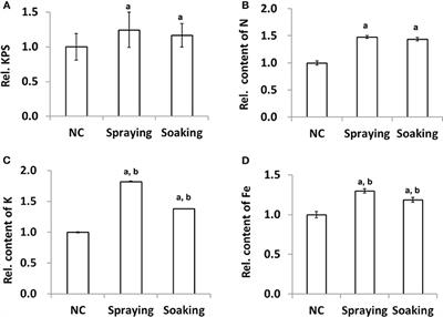 Microbial-Assisted Wheat Iron Biofortification Using Endophytic Bacillus altitudinis WR10